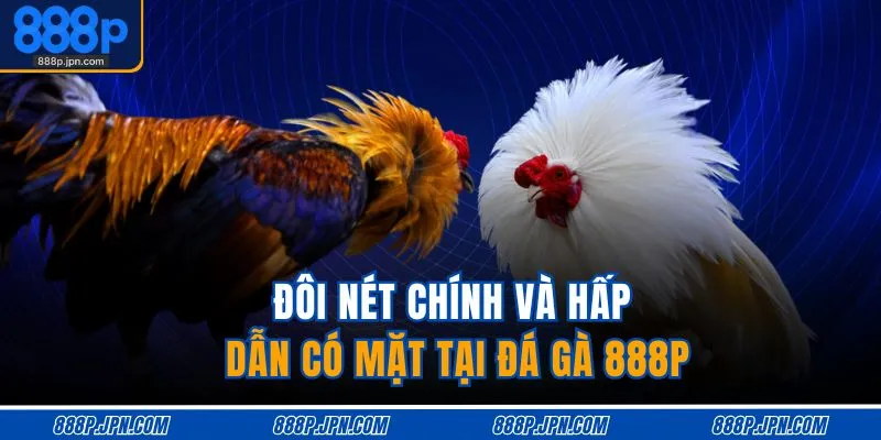 Đá Gà 888P 1 Đôi nét chính và hấp dẫn có mặt tại đá gà 888P