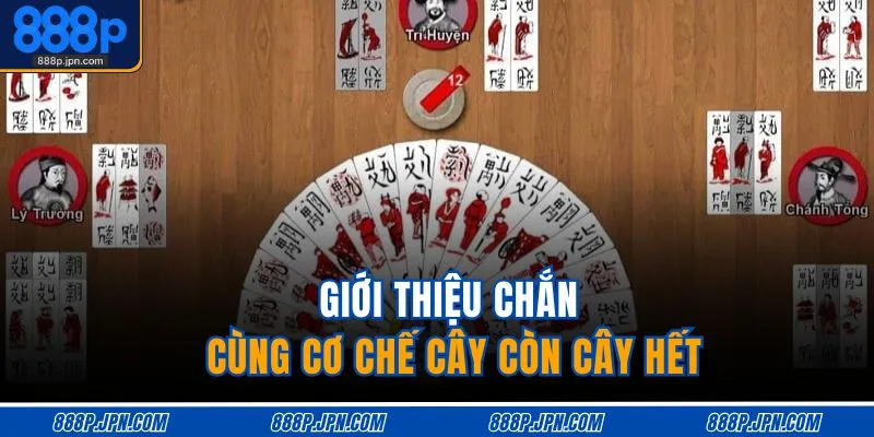 Cách Tính Cây Còn Cây Hết Trong Chắn - Hiểu Nhanh, Dễ Dùng 2 Giới thiệu chắn cùng cơ chế cây còn cây hết