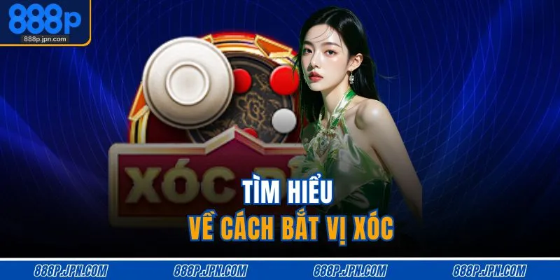 Cách Bắt Vị Xóc Đĩa | 3 Công Thức Soi Cầu, Đánh Chắc Thắng 2 Tìm hiểu về cách bắt vị xóc