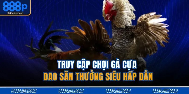Đá Gà 888P 4 Truy cập chọi gà cựa dao săn thưởng siêu hấp dẫn